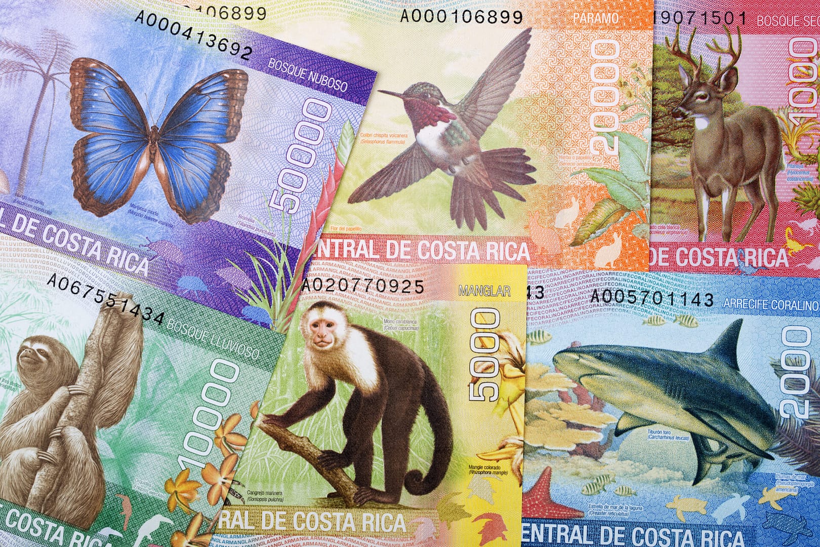 Costa Rican Money (Colon)