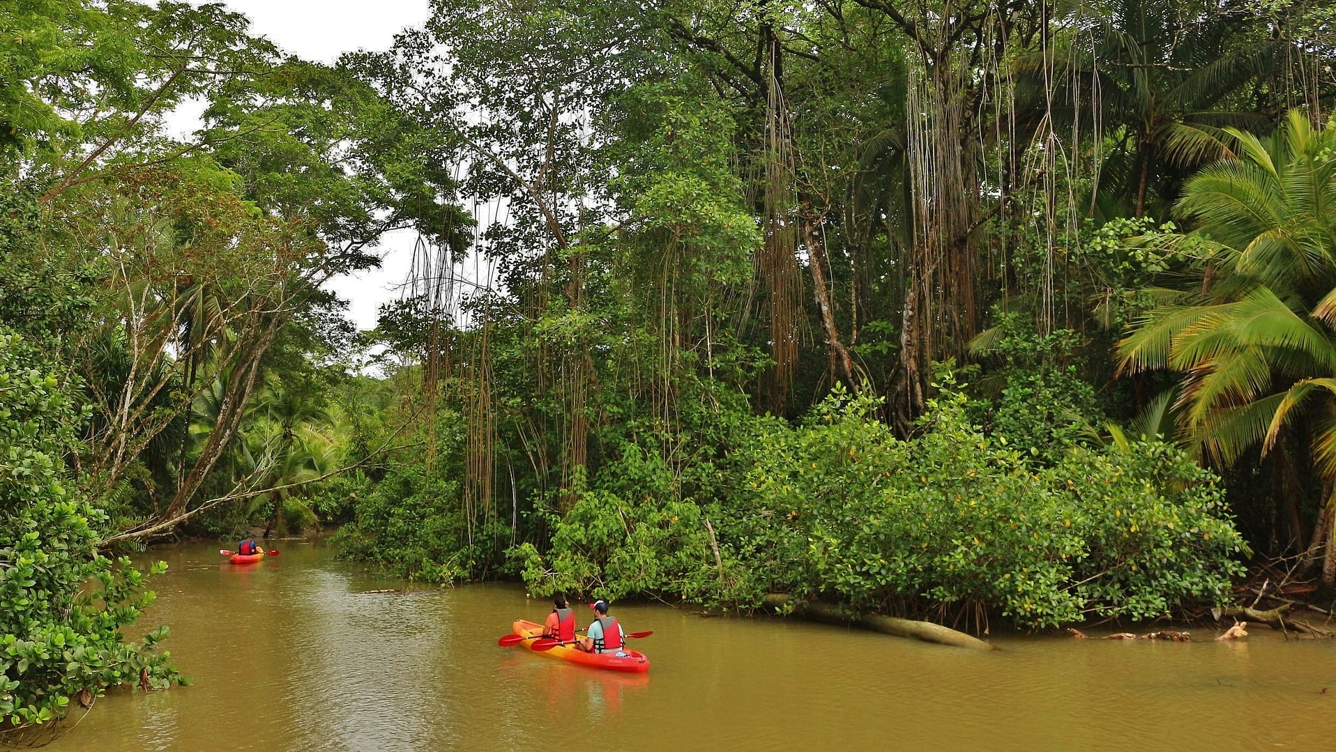 Kayaking through rainforest, Costa Rica