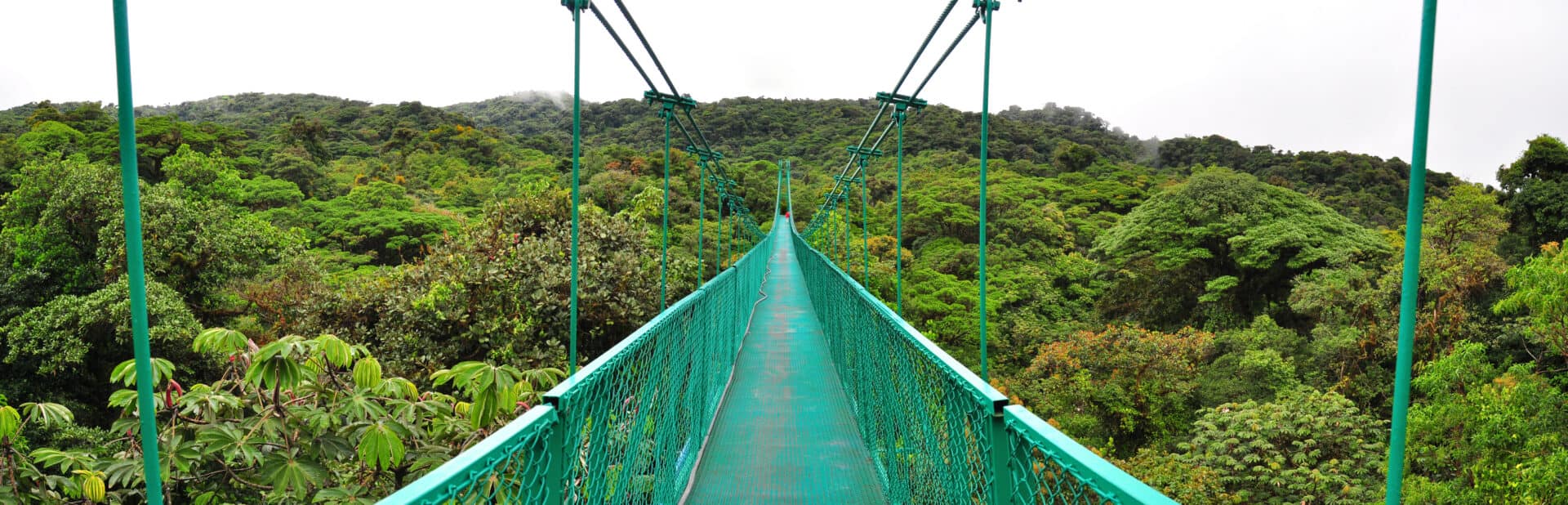 Monteverde Cloud Forest Hanging Bridge, Costa Rica